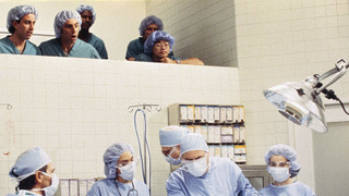 s04e20 — The Junior Mint