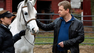 s02e11 — Falling for You