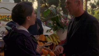 s04e13 — War Stories (2)