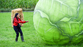 s33e04 — Ready To Restart The Race