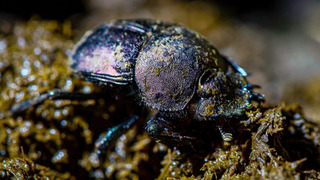 s04e02 — Finding the Way