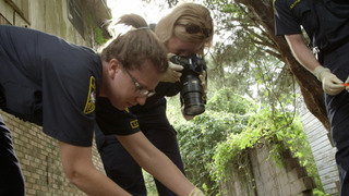 s22e11 — Final Celebration