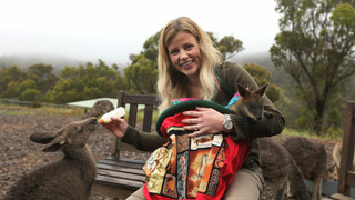 s01e01 — Episode 1