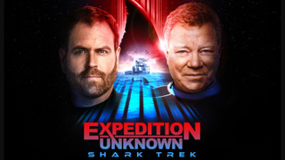 s09 special-1 — Shark Trek