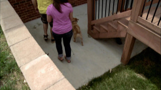 s01e04 — Monster of the Bride