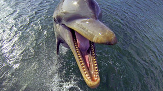 s01e01 — Episode 1