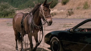 s03e03 — Knights of the Fast Lane