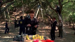 s04e11 — The Bone That Blew