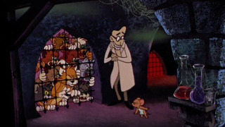 s01e01 — Switchin' Kitten