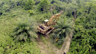 s02e02 — Family Emergency