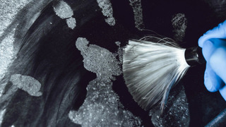 s01e02 — Blood in the water