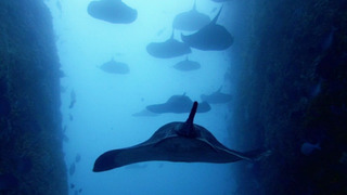 s01e07 — Tidal Seas