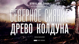 s08e01 — Древо колдуна I
