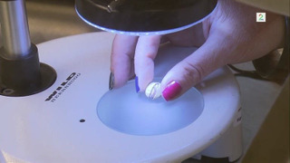 s02e07 — Pistasjnøtt og MUK