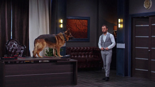 s06e13 — Выпуск 153