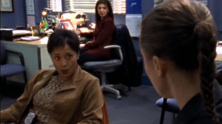 s07e21 — The Why Chromosome