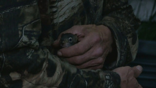 s01e05 — Split Decisions