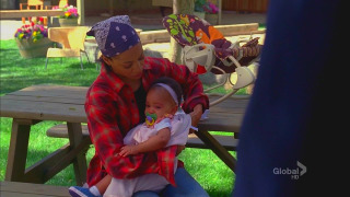 s04e25 — The Critic in the Cabernet