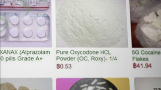 s01e03 — The Dark Web