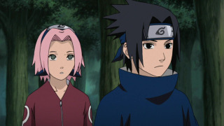 s20e12 — The Rules or a Comrade