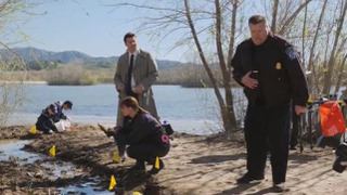 s06e17 — The Feet on the Beach
