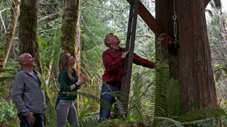 s07e02 — Adventure Headquarters