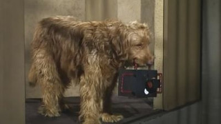 s01e23 — I'm Only Human