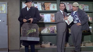 s02e13 — Perils in a Pet Shop