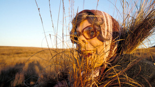 s02e05 — Anarchy in Royston Vasey