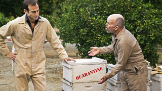 s04e07 — Colony Collapse