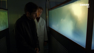 s04e14 — Memento Mori