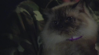 s10e32 — Nashville, Tennessee 11