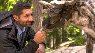 s03e07 — Saunas by the Sea