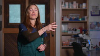 s11e04 — Dirty Rotten Chompers