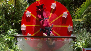 s23e12 — Episode 12