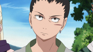 s20e10 — The Masked Man