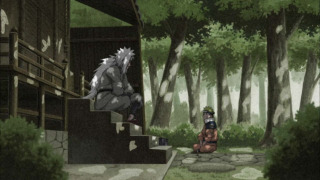 s11e24 — Naruto's Vow