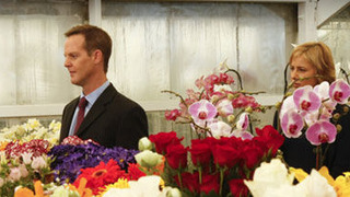 s08e13 — Mr. Monk is the Best Man