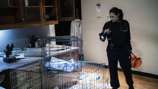 s02e08 — Rest in Peace and Psych Ward Spirit