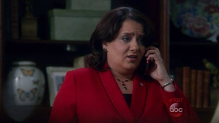 s05e12 — Wild Card