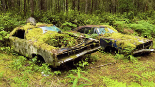 s06e08 — A Fly in the Ointment