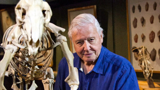 s04e06 — Ferocious Fighters