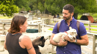 s03e22 — Awesome Auckland