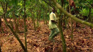 s01 special-1 — Behind the Scenes