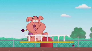 s08e41 — Le voleur de copains