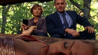 s09e11 — Streetwise