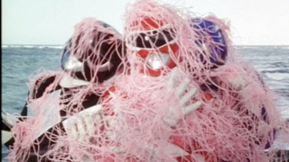 s01e32 — A Star Is Born