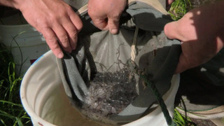 s01e08 — Cashed Out