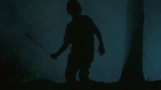 s01e19 — The Werewolf of Fever Swamp (2)