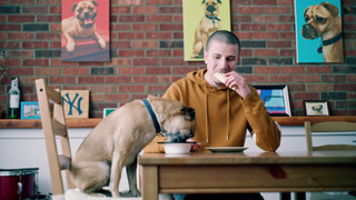 s01e01 — Operation Turkey Meat